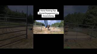 Horse Training Tips Engaging the mind vs Desensitizing alternativehorsemanship [upl. by Tutto663]