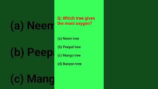 Tree gives most oxygen oxygen tree youtubeshorts environment treegivesmostoxygen [upl. by Aikin]