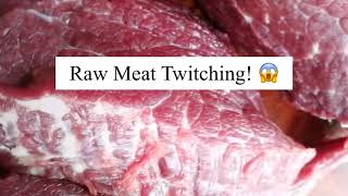 Raw meat Twitching 😱 [upl. by Nosliw]