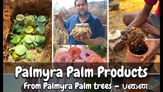 Fermented Palmyras Palm Syrup D [upl. by Eindys]