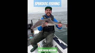 Spurdog Shark Fishing fishing adventure boatfishing fyp fypシ゚viral fypage outdoors youtube [upl. by Nuahsak569]