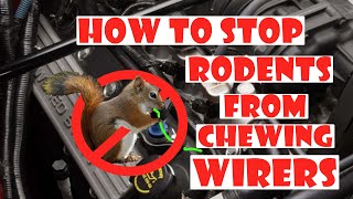 How to stop rodents from chewing up your car wires [upl. by Aisylla204]