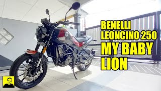 BENELLI LEONCINO 250 SE ABS 2023  MY BABY LION [upl. by Anaicilef68]