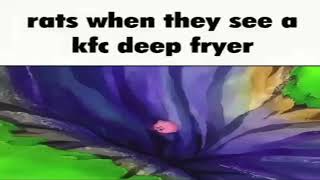 Rats when they see a KFC deep fryer [upl. by Somerset]