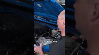 Do you have a special process when cleaning your engine bay Detailing [upl. by Farnham]