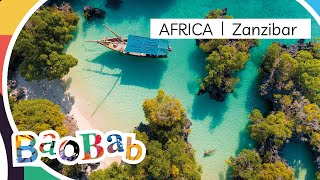 Baobab  Zanzibar  AHG Dreams Bay Beach [upl. by Aitnom]