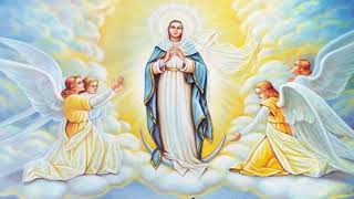 Holy Rosary  Luminous Mysteries  Thursday [upl. by Colas]