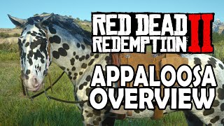 Appaloosa Overview  Red Dead Redemption 2 Horses [upl. by Anoj]