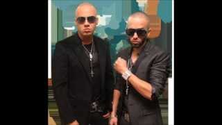 Wisin y Yandel Viejitas Mix [upl. by Annavoj]