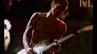 Red Hot Chili Peppers  Easily Live [upl. by Ralip969]