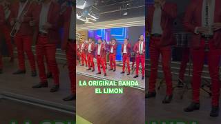 LA ORIGINAL BANDA EL LIMON en mañana Latina [upl. by Cirone]