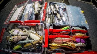 Swimbait Box Tour  Which Swimbaits Really Catch Fish [upl. by Calesta]