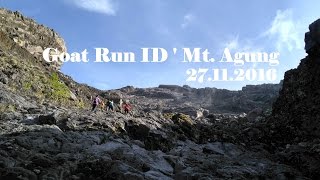 Goat Run ID  Mt Agung  Bali  2016 [upl. by Glanti]