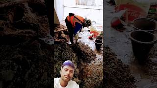 How to make tile mortar  How to do tiles flooring  shorts viralvideo construction [upl. by Ahseel]