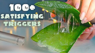 ASMR To Sleep All Night  100 Satisfying Triggers  ASMR No Talking [upl. by Malvino70]