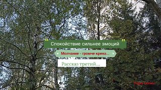 quotСпокойствие сильнее эмоцийquot Рассказ третий из сборника quotБез вины виноватые quot [upl. by Emmet]