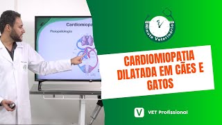 Cardiologia Veterinária Cardiomiopatia Dilatada [upl. by Marka]