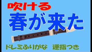 春が来た ハ長調 アルトリコーダー ドレミ運指つき [upl. by Roobbie]