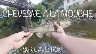 Chevesne à la mouche 1 2015 [upl. by Eelyrehc873]