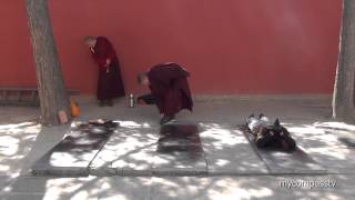 Tibetan Buddhist Prostration  Wǔtái China [upl. by Tristam]