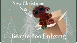 Beanie Boo Unboxing [upl. by Nimajnab]