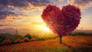 Find Your Soulmate Meditation Attract Love Affirmation Subliminal Affirmations [upl. by Cirala]