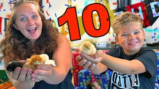 Ollie Turns 10 Years Old 🎉 BIRTHDAY CHICKEN SURPRISE [upl. by Zingg]