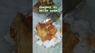 Makan siang musik song ayammasakkuning jengkolpedas [upl. by Karr]