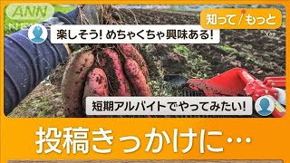 闇バイトより農業…SNS呼びかけ 5900万回表示 応募殺到「ものすごく感謝されます」【知ってもっと】【グッド！モーニング】2024年11月25日 [upl. by Airad]