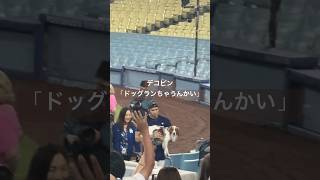 150万回再生！【大谷さん現地観戦】大谷家の距離感が尊すぎた大谷翔平 shoheiohtani dodgers 真美子夫人 decoy [upl. by Yanat]