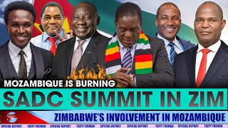 SADC leaders coming to Zimbabwe as ZANU PF quotunintentionallyquot brings chaos in the region [upl. by Dempsey193]