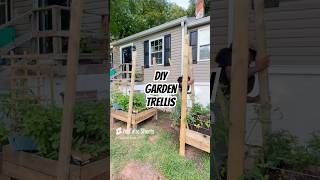 Garden Trellis on a Budget palletprojects gardentrellis trellis diytrellis howto [upl. by Keung819]