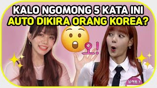 5 KATA INI BIKIN KAMU KAYAK ORANG KOREA ASLI Part 4  Borassaem [upl. by Blalock]