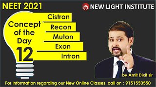 NEET 2021 BIOLOGY  Concept of the Day 12  Cistron  Recon  Muton  Exon  Intron  Amit Sir [upl. by Otreblaug]