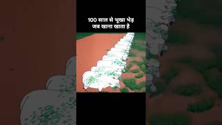 100 साल से भूखा भेड़ जब खाना खाता है 😂। Funny cartoon funny explanation memes [upl. by Knipe]