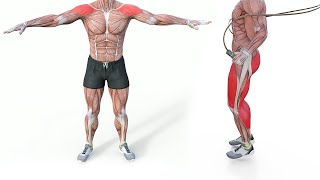 10 Minutes Standing Warming Up Exercises [upl. by Lower]