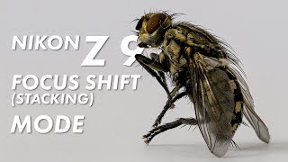 How to Use Focus Shift Stack with Nikon Z 9 Z 8 Z 7 Z 6 [upl. by Killion779]