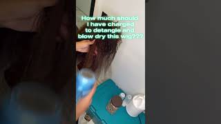 Reviving a Severely Matted Wig How Much Would YOU Charge [upl. by Evod423]