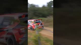 Rallye terre de vaucluse 2024 jump flat out [upl. by Damarra]