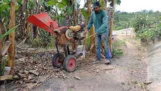 como fazer farelo de milho usando forrageira Nogueira DPM Junior motor estacionário 7 HP [upl. by Felic]