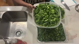 Soulful Collard Greens From Start to Finish  How to Clean Cut amp Cook Collard Greens Holiday Sides [upl. by Darrelle83]