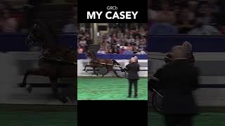 Kentucky State Fair Roadster Worlds Grand Champion My Casey  Mid Ohio Memorial Trotting Sale [upl. by Adnoraj434]