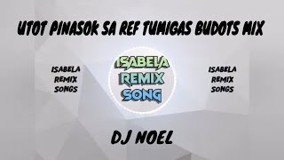 UTOT PINASOK SA REF TUMIGAS BUDOTS MIX  DJ NOEL  ISABELA REMIX SONGS [upl. by Ycnej657]