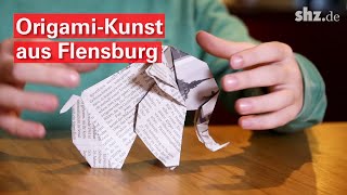 Das kannst du knicken 9jähriger Flensburger macht OrigamiKunst [upl. by Doykos308]