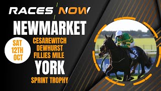 Newmarket York  Cesarewitch  Dewhurst  Fillies Mile  Horse Racing Tips [upl. by Chelsie]