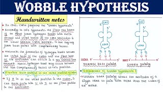 Wobble hypothesis  Significance [upl. by Ayocat]