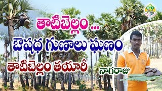 తాటి చెట్టు నుంచి తాటి బెల్లం తయారీ  Palm Jaggery Making  Natural Medicine [upl. by Sansen]