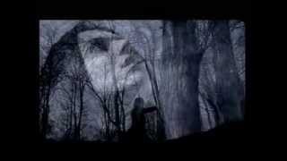 LACUNA COIL  Within Me OFFICIAL VIDEO [upl. by Maryanne]