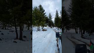 Naltar Valley Pakistan naltarvalley shortvideos offroad [upl. by Nhguavaj]