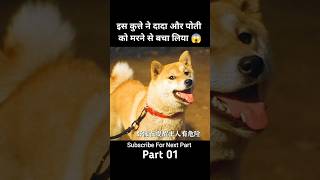 A Tale Of Mari And Three Puppies Part 1 😱  short shorts dog movieexplainedinhindi [upl. by Sikes]